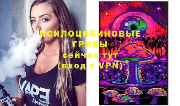 стафф Бронницы