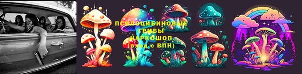 дурь Бородино