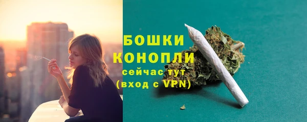 дурь Бородино