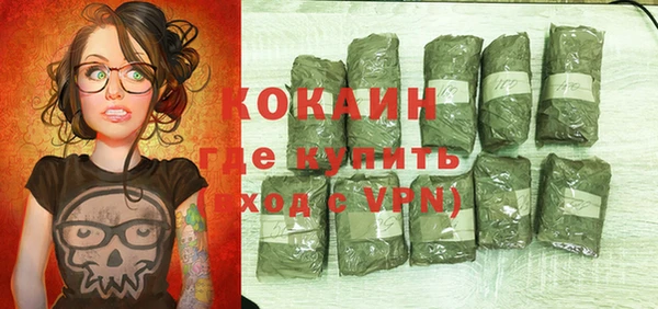 дурь Бородино