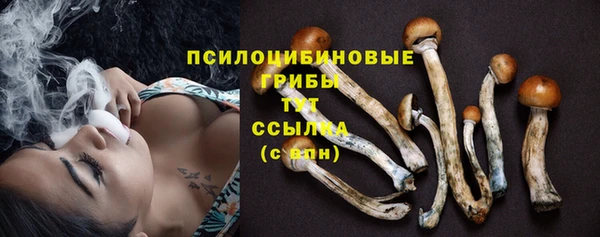 соль ск Аркадак