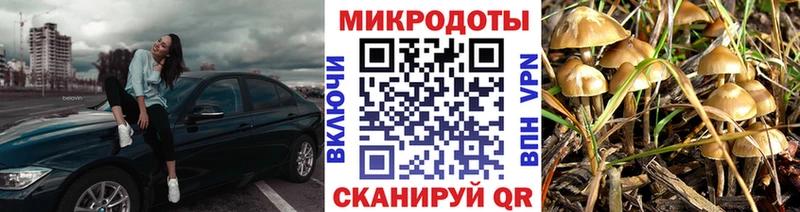 Галлюциногенные грибы Magic Shrooms Суворов